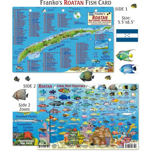 Card, Roatan Map & Fish ID